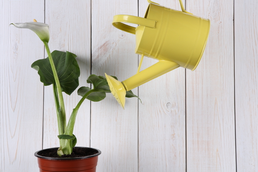 0010320575R-849×565